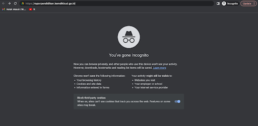 incognito 3.png